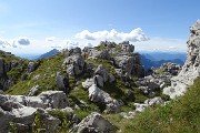 Bel ritorno sullo ZUCCO BARBESINO (2154 n) dai Piani di Ceresola-Piani di Bobbio il 9 settembre 2019 - FOTOGALLERY